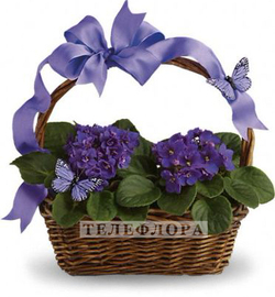 Basket «Violets And Butterflies»
