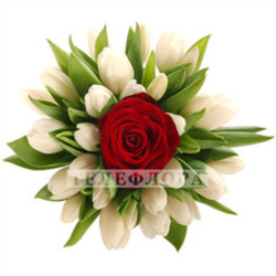 Round bouquet of 1 red rose and 24 white tulips