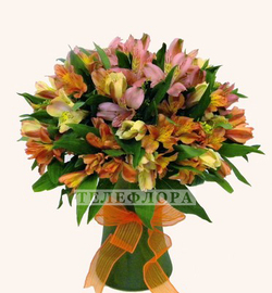 Bouquet of 19 multi-colored Alstroemeria