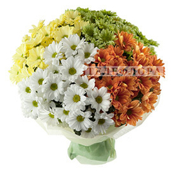 Bouquet of 19 multi-colored chrysanthemums