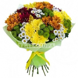 Bouquet of 19 chrysanthemums "Rainbow"