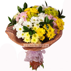 Bouquet of 13 multi-colored chrysanthemums